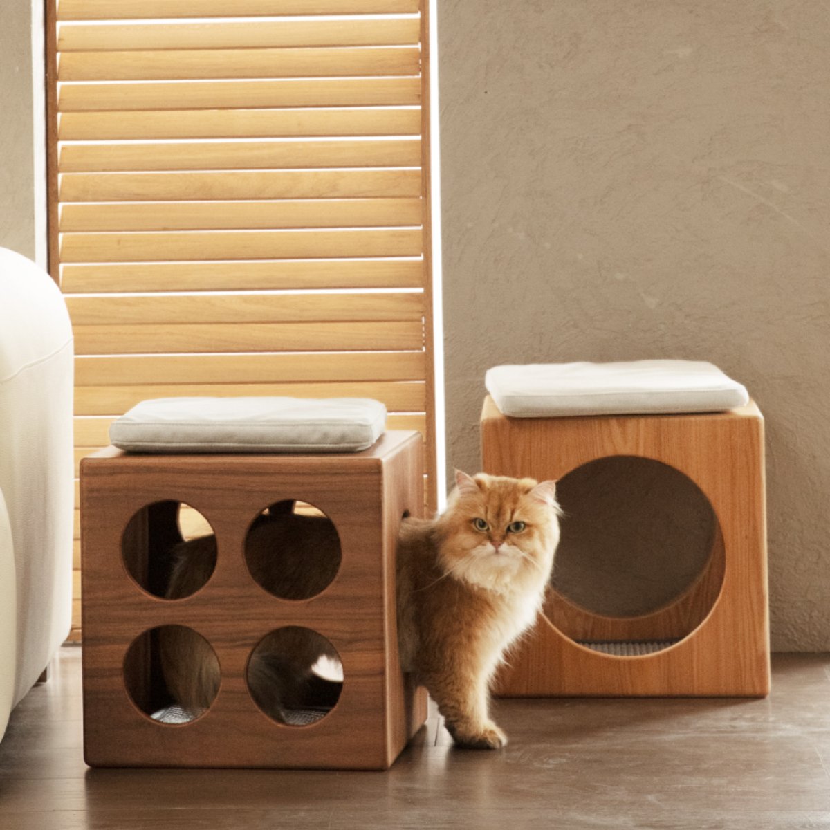 Multi-functional Wooden Cat Cube Bed Cat Furniture