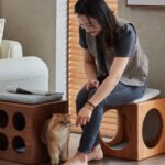 Multi-functional Wooden Cat Cube Bed Cat Furniture