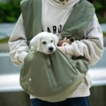 Pet Front Facing Carrier for Puppy/Cat Small Pets